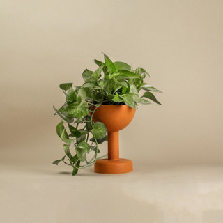 Maceta Elevada Terracotta Planter by Diego Garza